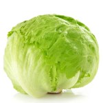 Lettuce Head 6 Pack