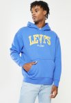 Levi's T3 Relaxd Graphic Hoodie - Palace Blue