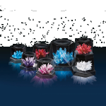 Crystal Growing Experimental Kit