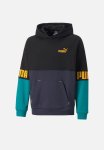 Puma Power Colorblock Hoodie Tr B - Parisian Night