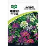 Alyssum Mixed Colours Flower Seeds