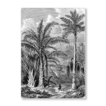 Antique Etching 4 Art Print - A4