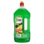 Newden Concentrated Dishwashing Liquid 1.5L