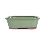 Assorted Glazed Bonsai Pots 10" - Green Rectangle With Pannels 25 X 18 X 8CM