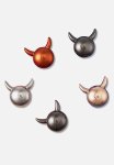 Crocs Shiny Horned 5 Pack - Multi