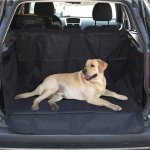 Pet Car Back Seat Cover - Protect Your Vehicle With Style