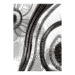 Concentric Art Print - A3