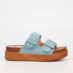 Patos 1 - Blue - Blue 5
