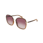 Sunglass Woman Brown Pink CH0031S-006 - Brown