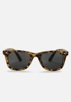 Noway Turtle - Brown & Black