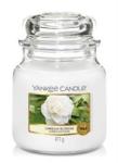 Yankee Candle Camellia Blossom Medium Jar Retail Box No