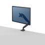 Fellowes Platinum Single Monitor Arm