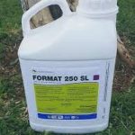 Format 250 Sl 5 Liter
