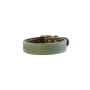 Straight Collar Sage - M: 38-44CM