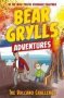 A Bear Grylls Adventure 7: The Volcano Challenge Paperback