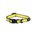 Rogz Amphibian Classic Collar - Medium Dayglo