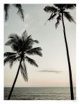 Easy Ride Art Print - A1