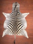 Aa Grade Zebra Hide 029 L