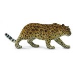 Amur Leopard