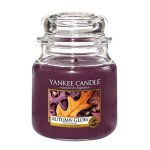 Yankee Candle Linden Tree Medium Jar Retail Box