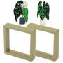 Queen Anthurium & Hardy Begonia Magnet Set With Floating Display Frames