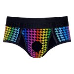 Brief+ Harness - Rainbow Lightning - 2XL