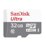 SanDisk 32GB Microsdhc Class 10 - SDSQUNR-032G-GN3MN