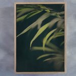 Dark Foliage 2 Art Print - 100CM X 150CM Framed Canvas With Natural Wood Frame