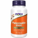Pancreatin 2000 – 100 Capsules