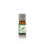Jasmine Absolute Oil - 5 Ml
