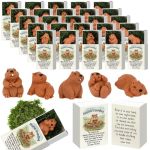 Cinnvoice 25 Set Bulk End Of Year Student Gifts From Teacher Graduation Employee Appreciation Gifts Emotional Support Cute Resin