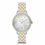 Colm Nuvia - Two-tone Mother Of Pearl
