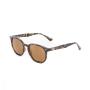 Cali Lifestyle Sunglasses - F-tortoise L-polarized Brown Smoke