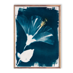 Hibiscus I Art Print - A4