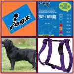 Rogz Classic H Harness Large SJ06 Opens 45-75CM