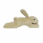 Nature - Rabbit - Junior