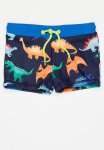 Aop Swim Trunk - Navy