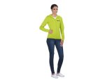 Ladies Bravo Hooded Sweater