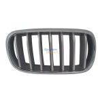 Bmw F15 X5 Kidney Grille Silver With Chrome Frame Right 13-18