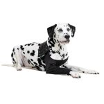 Suitical At Home Recovery Sleeve Dog