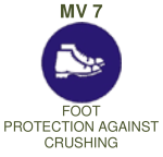 MV7: Anti Crush Footwear Mandatory – Small