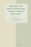 Approaches To The History And Dialectology Of Arabic - Papers In Honor Of Pierre Larcher English French Hardcover