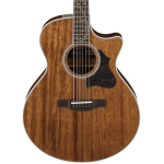 Ibanez AE245NT Acoustic Guitar