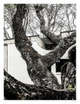 Architek 1 Art Print - A4