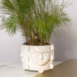 Botanist Pot Plant Holder - Gloss White