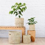 Basket - Fundo - 25CM Inner Diameter