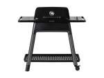 Force 2 Burner Gas Braai With Stand Black