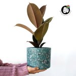 Terrazzo Pot - Nereida - 13CM Inner Diameter