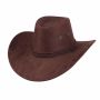 Cow Boy Hat For Men And Women In Brown