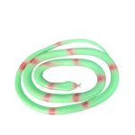 Snake Animal Model